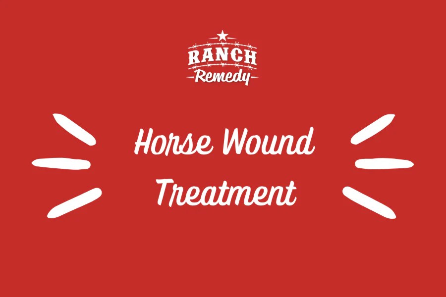 The Best Horse Wound Treatment Your Ranch Remedy