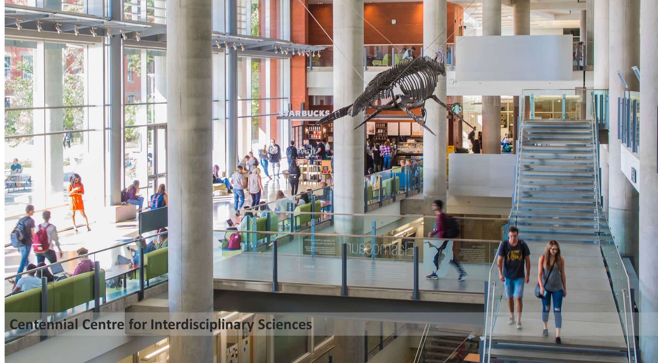 Best Computer Science Universities in Canada (Undergrad Programs)