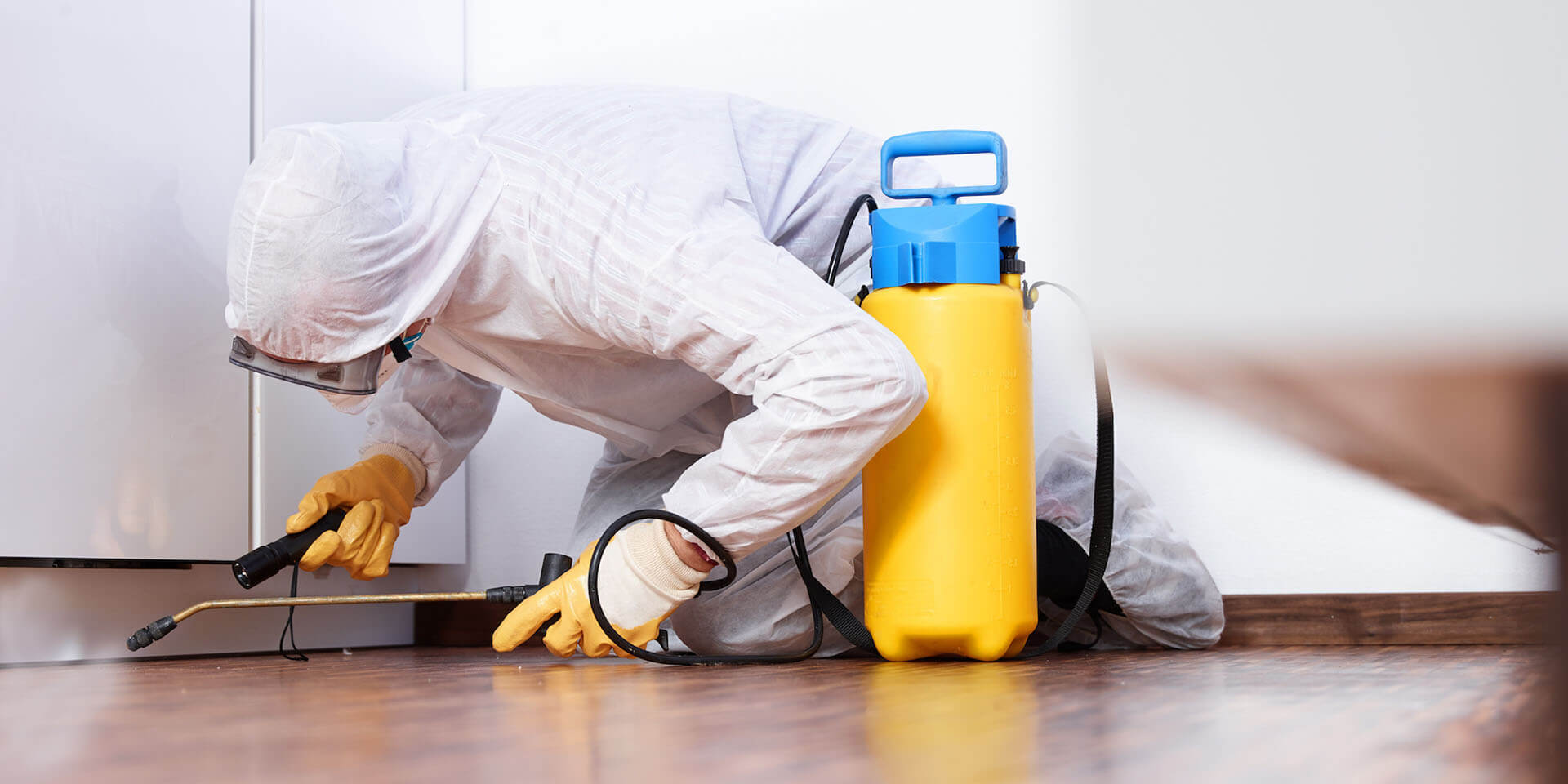Cleaning Company In Bahrain Pest Control Services in Bahrain