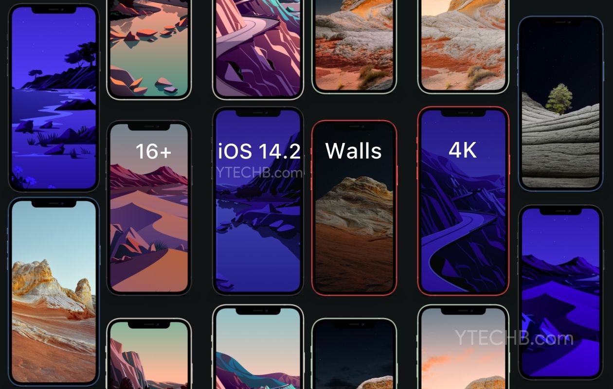 Download iOS 14.2 Beta 4 Wallpapers [4K Resolution] (Official)