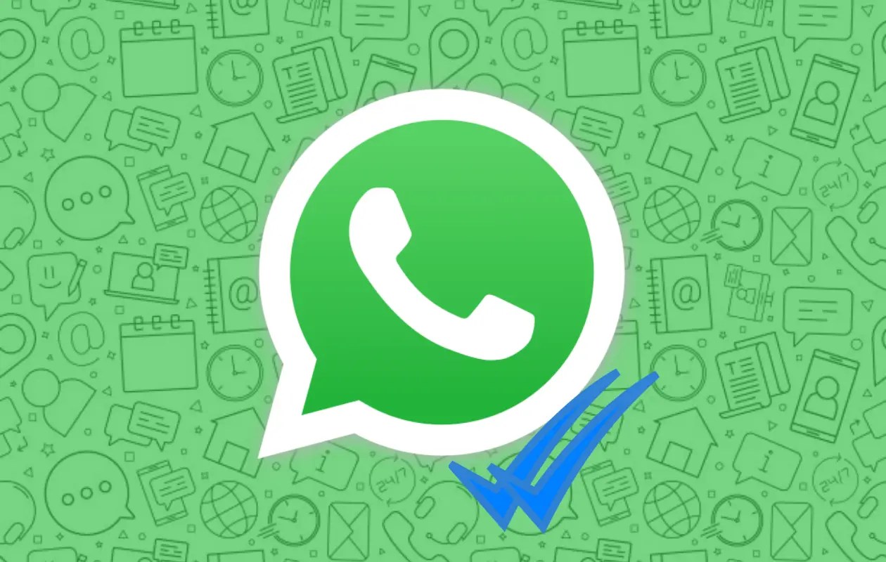 How to Fix Read Receipts Not Working on WhatsApp [7 Ways]
