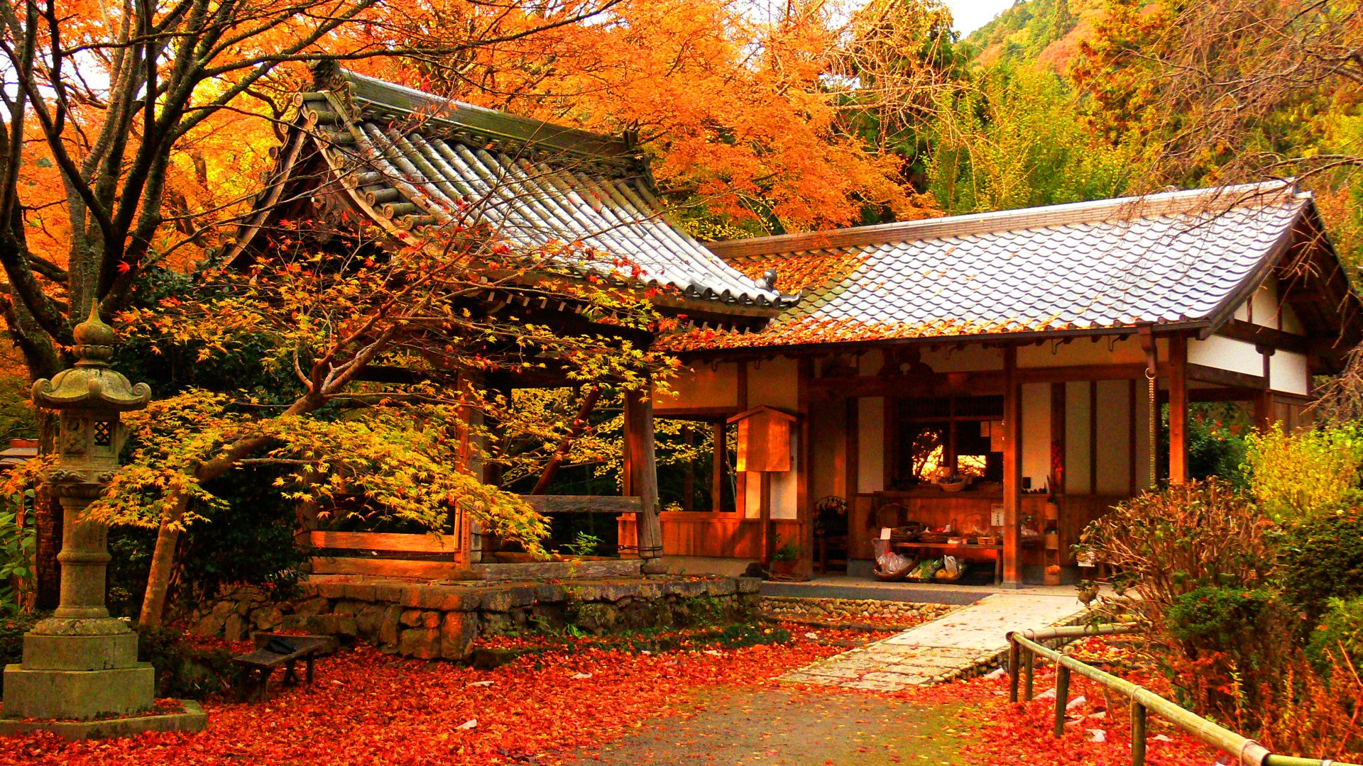 Fall Foliage in Japan Yumi To