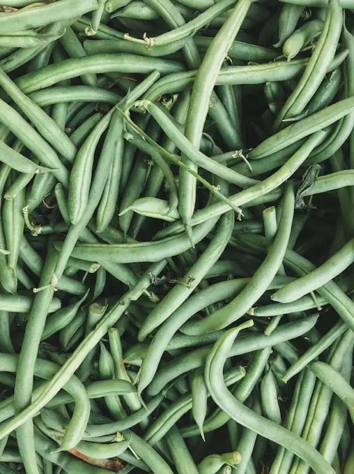 Green Beans FODMAP Everything You Need To Know Yummyble