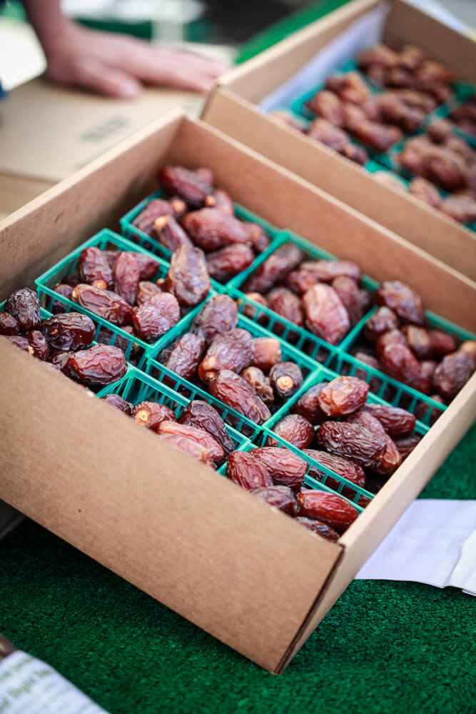 Medjool dates 101 dates fruit recipes nutrition and more 