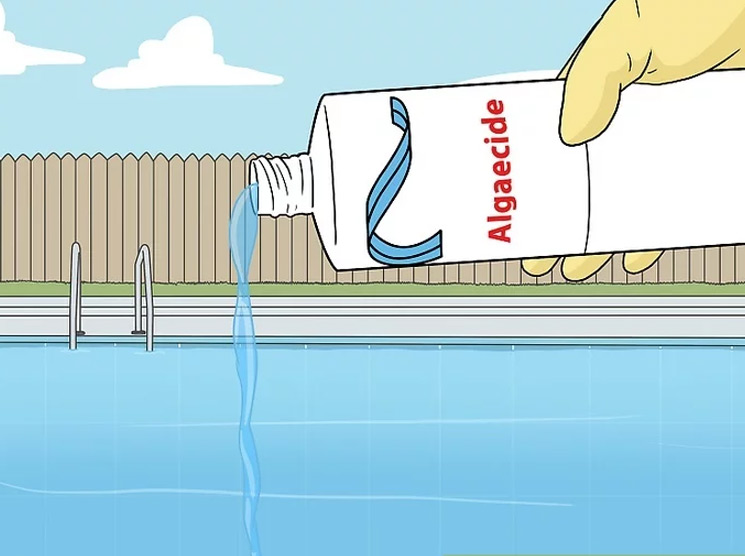 News How to Treat Green Algae in a Swimming Pool