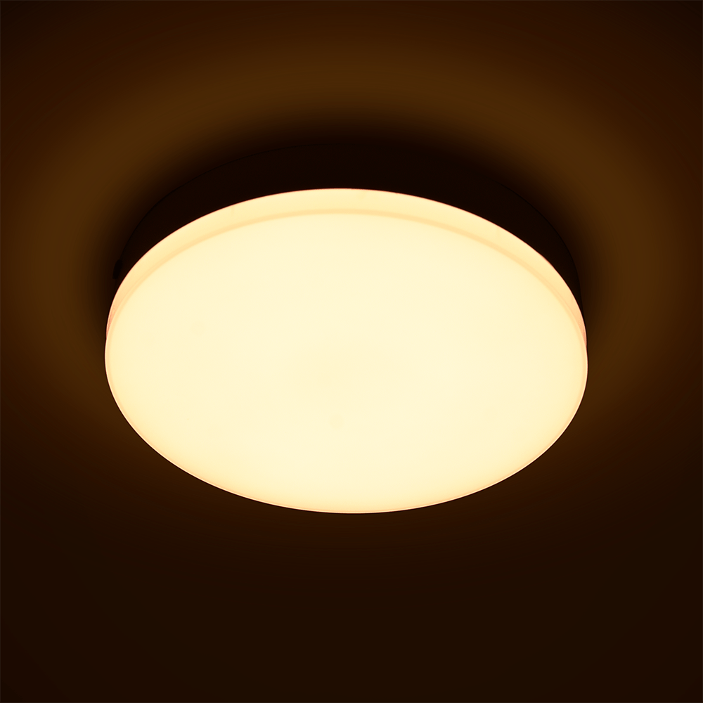IP65 CCT and DIM Ceiling Light Fixture