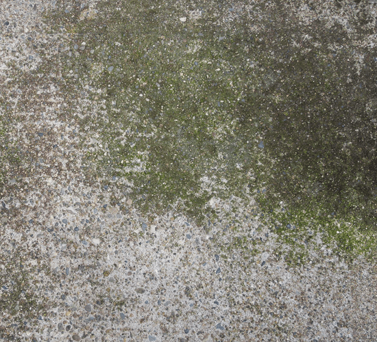 Moss Concrete Texture Set Yvelle Design Eye