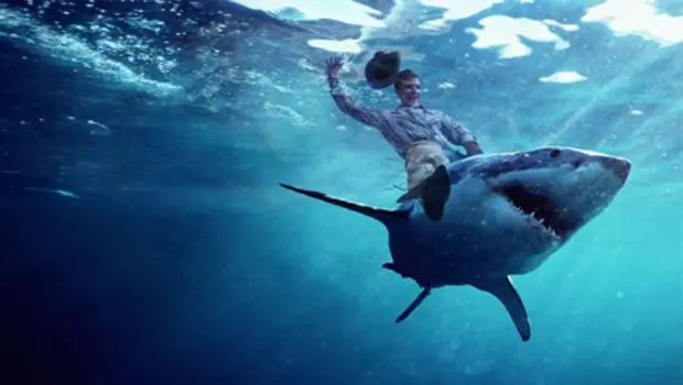 Il saute sur le dos d'un requin blanc YZGeneration