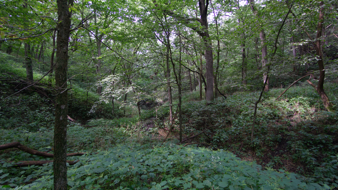 Nickerson 80 Acres Zachland Real Estate, Inc.