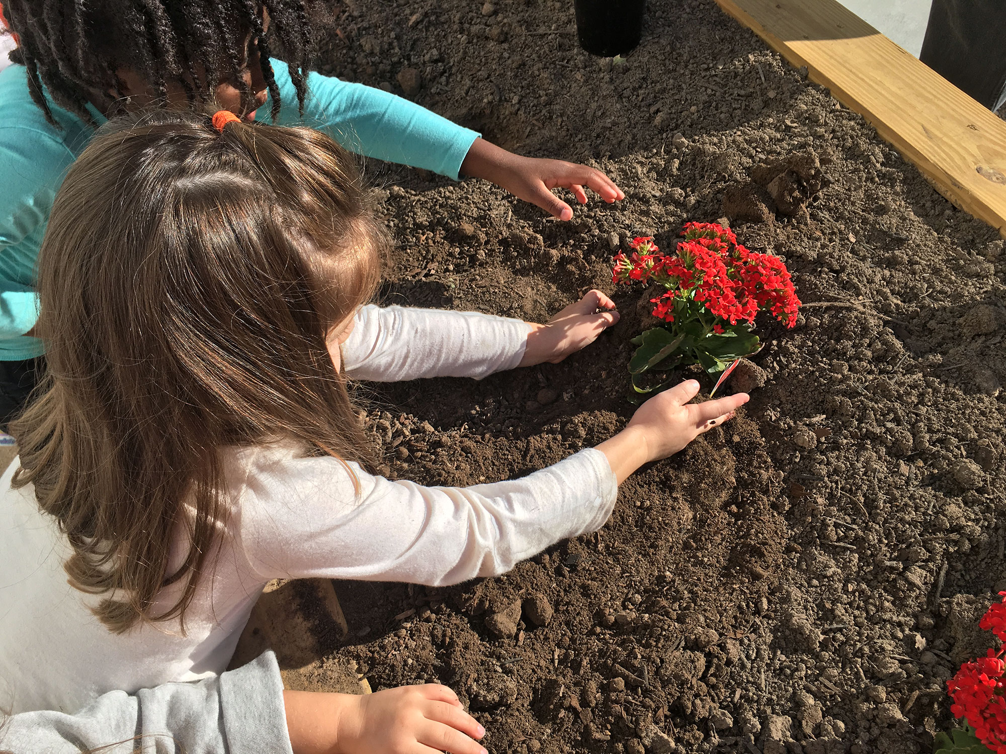 The Belton Education Station Belton, Texas