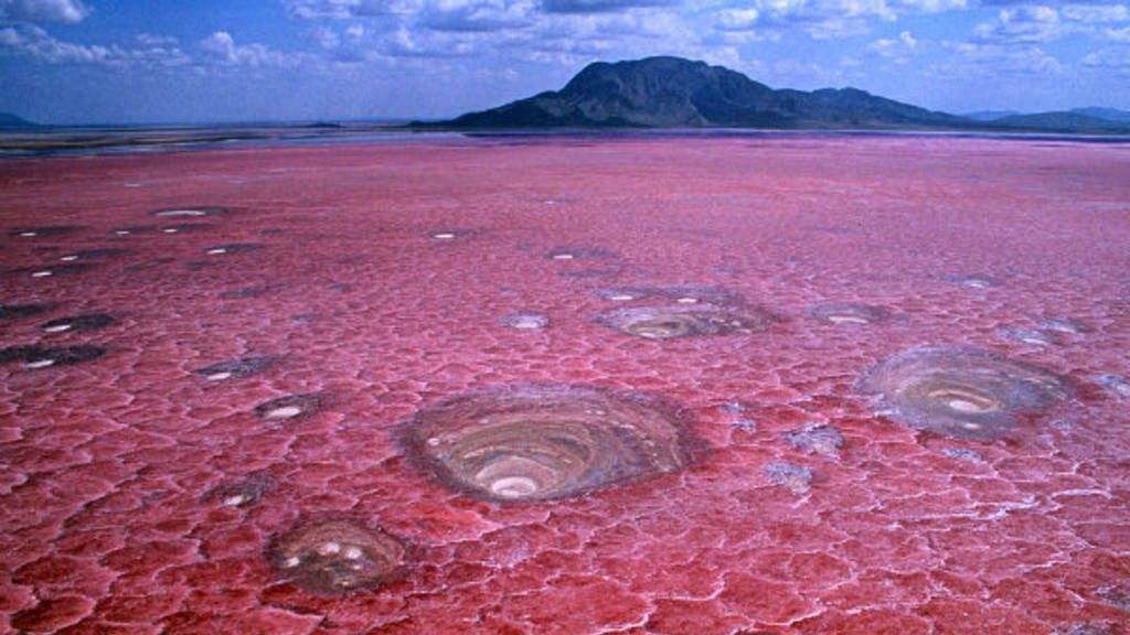Lake Natron Tanzania Trips Zaita Tours
