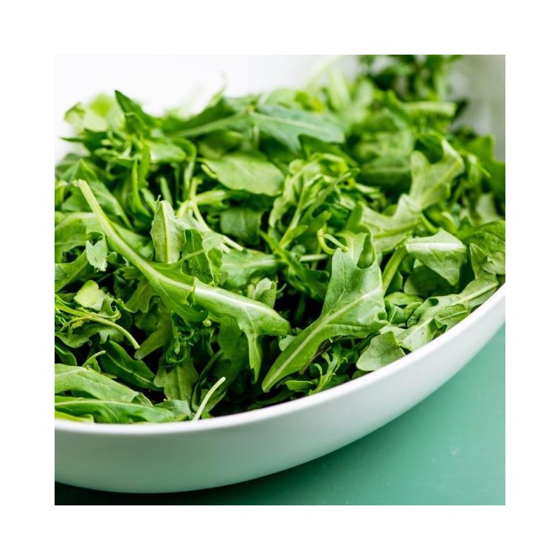 Arugula Buy Seeds Online Zappa Seeds Canada
