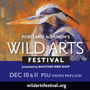 Zapp - Event Information - Wild Arts Festival 2022