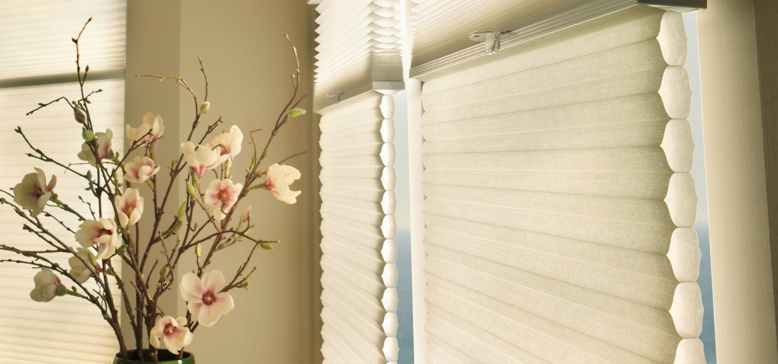 Home Hunter Douglas Powerview Motor Duette/Applause Shades