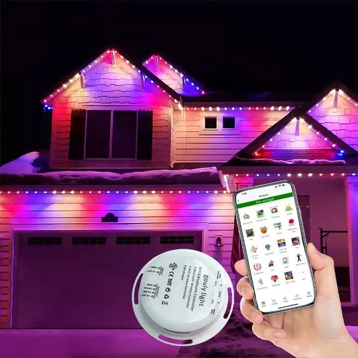 Rgb outdoor holiday lights, 24V Christmas lights_LED Pixel Light