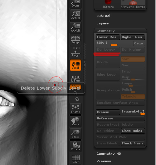 Answered Can't delete LowerSubd... ZBrushCentral