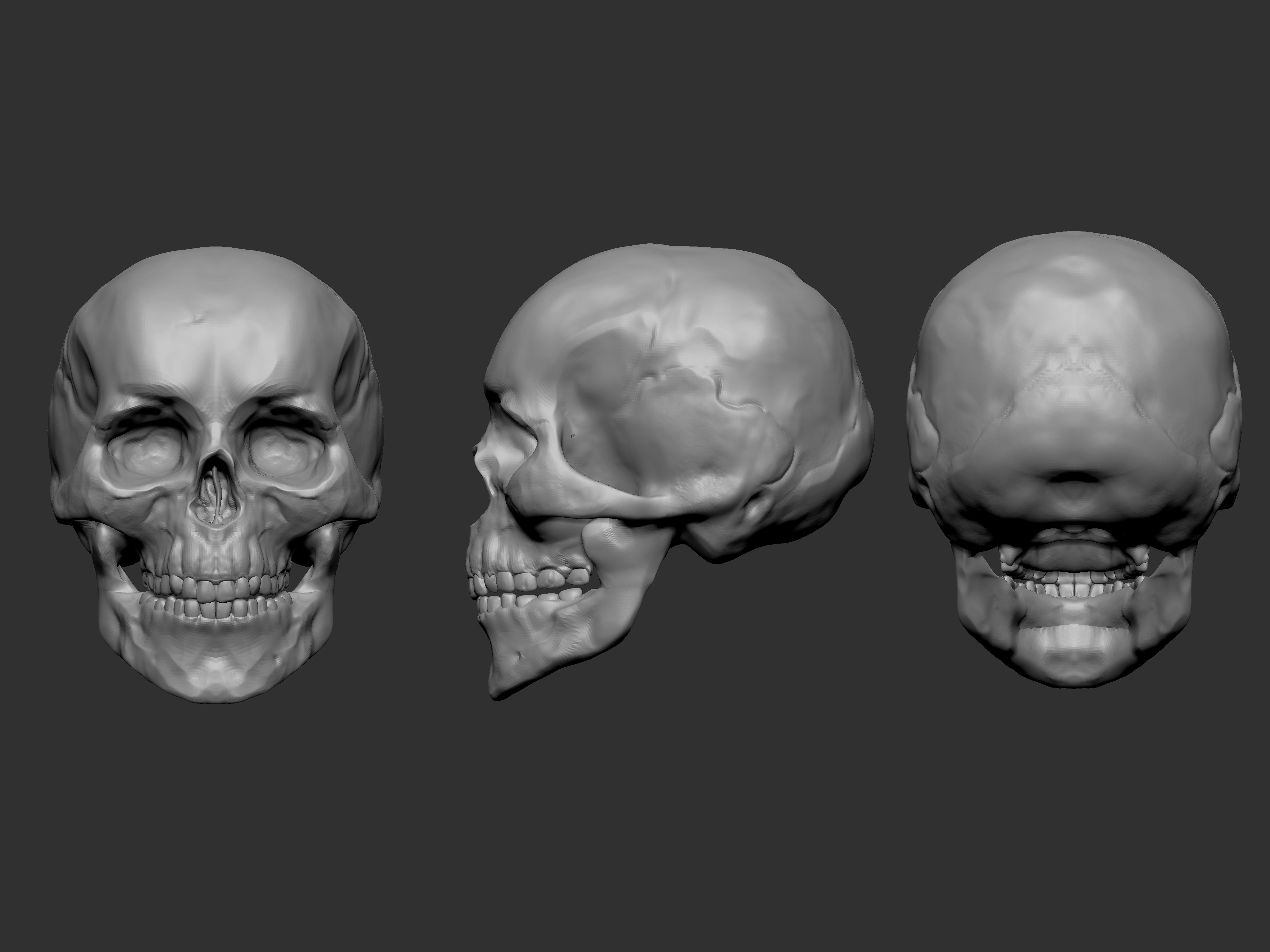 Human anatomy Study{Male_Upper} ZBrushCentral