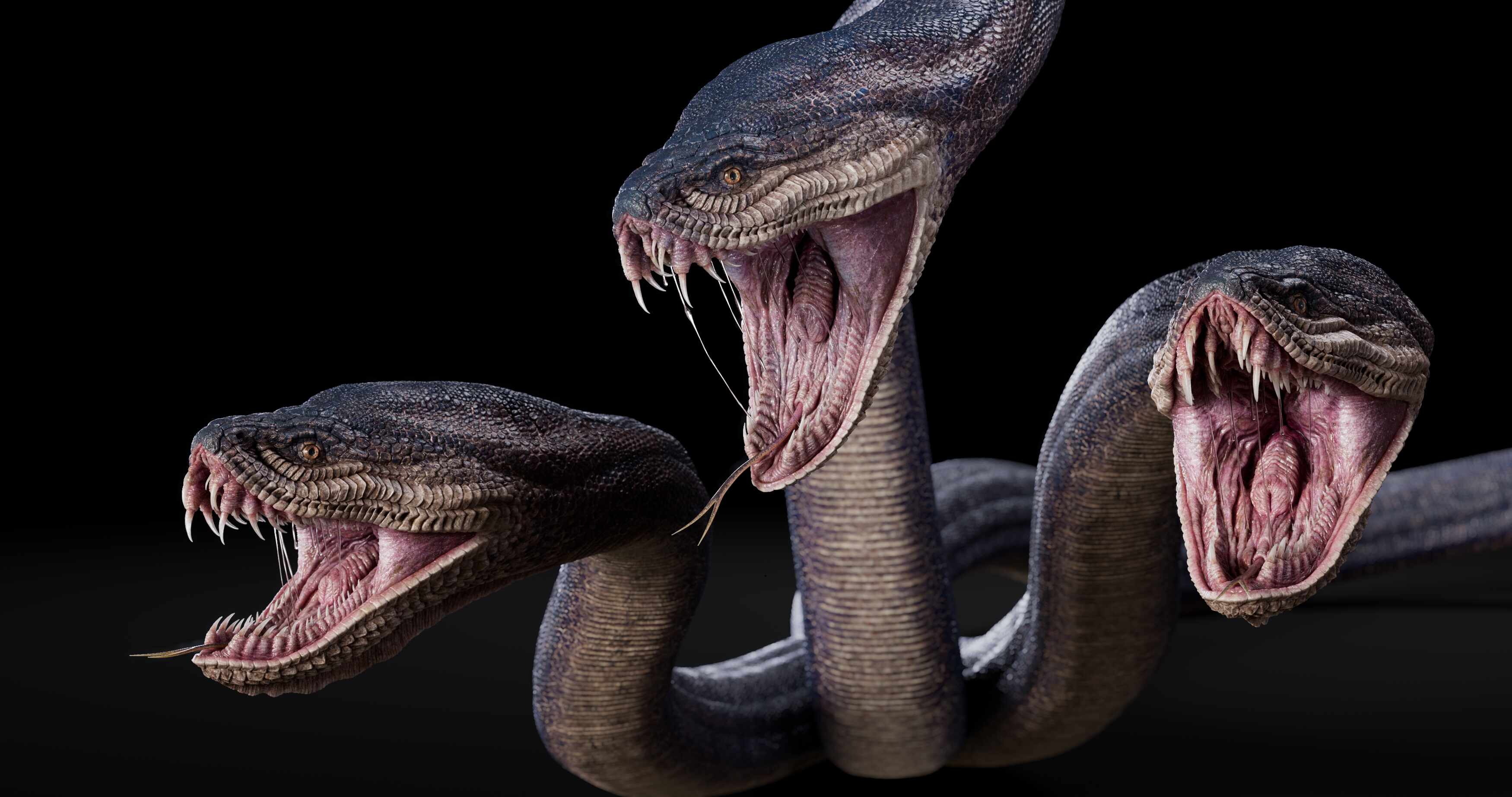 Three headed snake ZBrushCentral