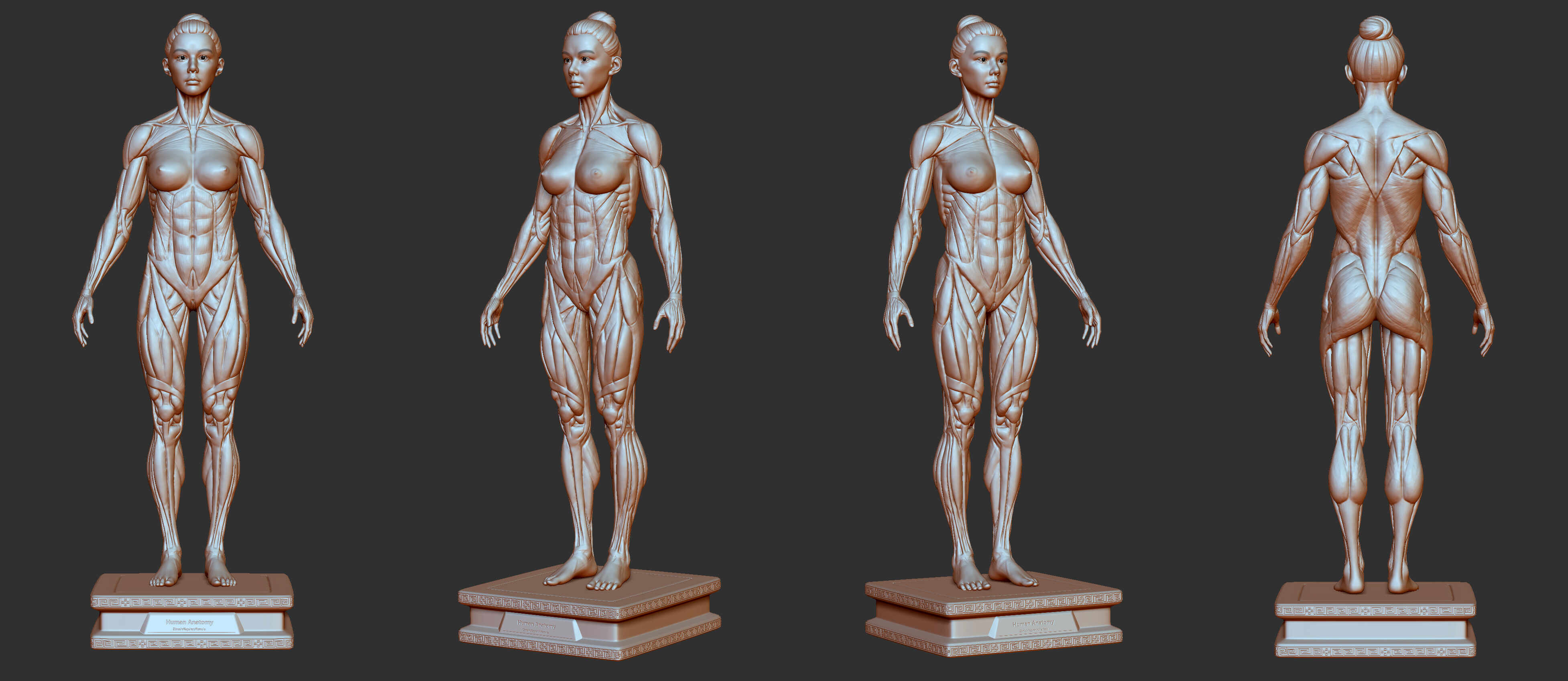 Female body ZBrushCentral