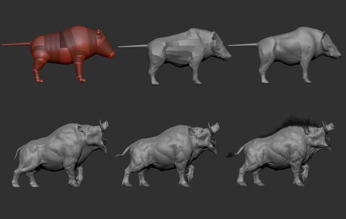 Wild hog anatomy shot placement