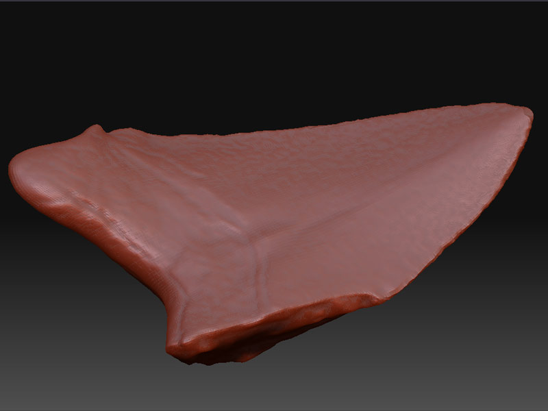 Converting triangles to quads for ZBrush ZBrushCentral