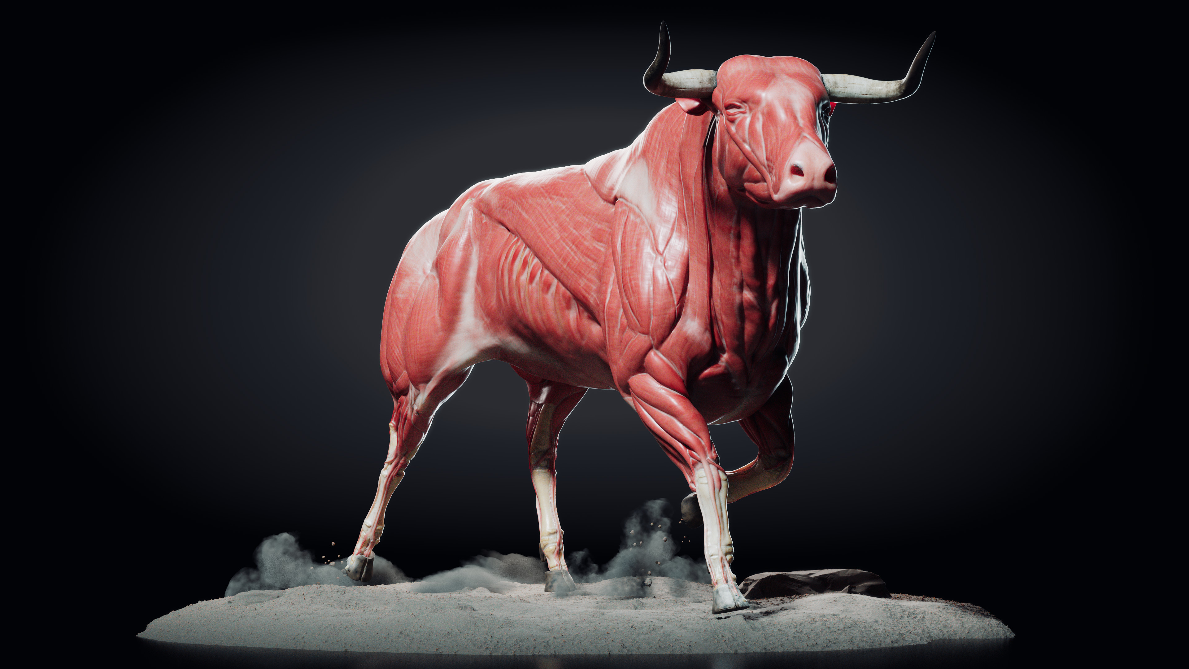 The Spanish Bull ZBrushCentral