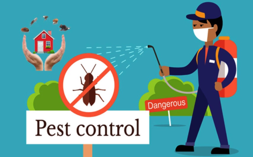 Top 6 Reasons You Need To Hire A Professional For Pest Control In