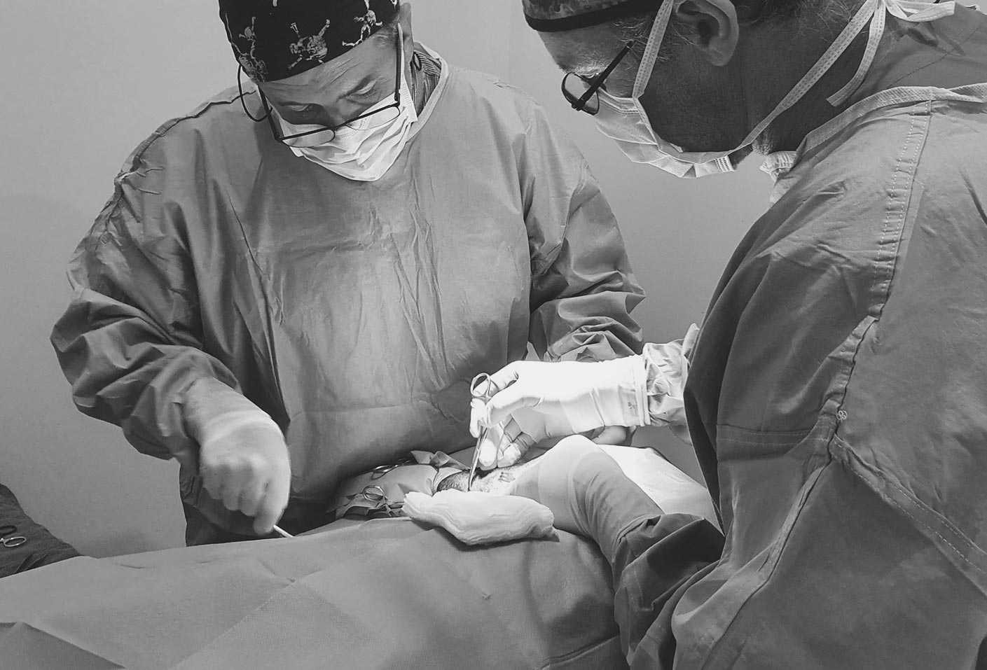 Brisbane Pet Surgery Project Zeemo