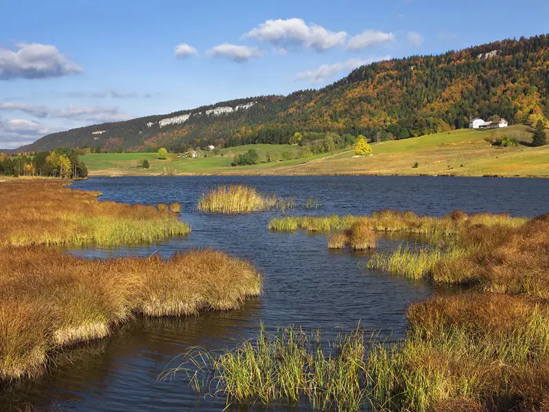 La difficile atteinte de l'objectif mondial en matière de biodiversité