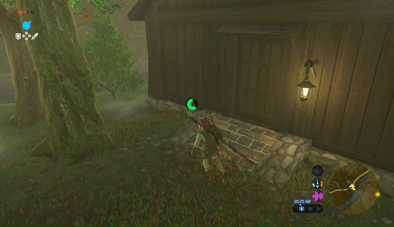 The cursed statue botw