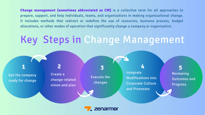 Organizational Change Management Process