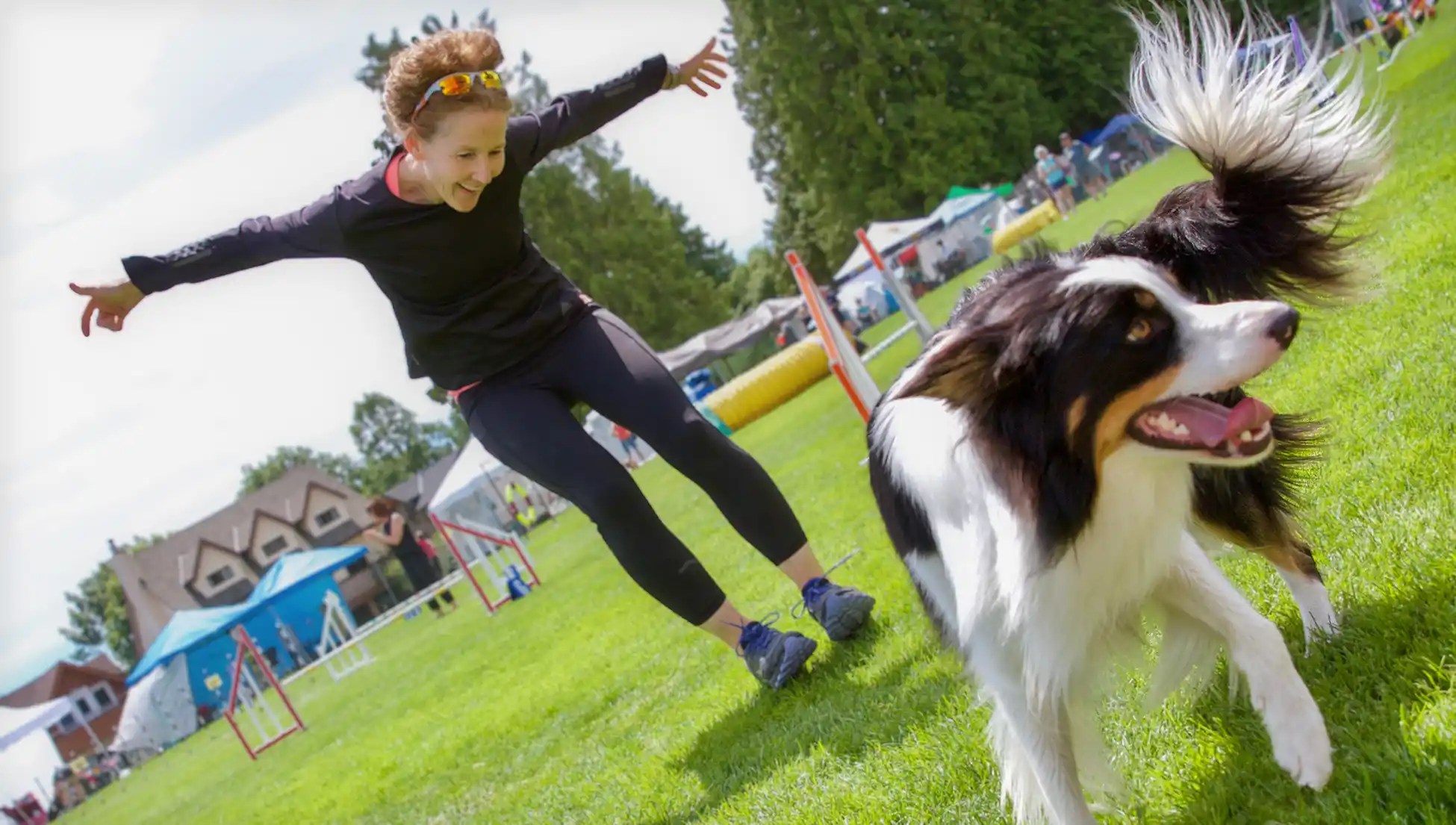 Contact Us Zen Dog Canine Training