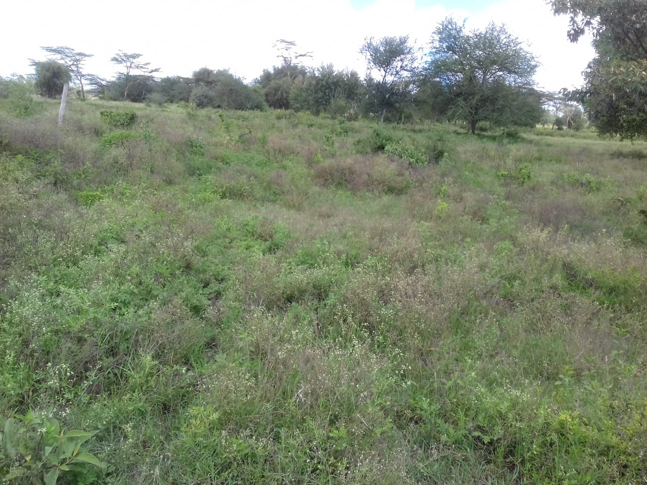 Athi River Plots Zenith (Management) Valuers Limited