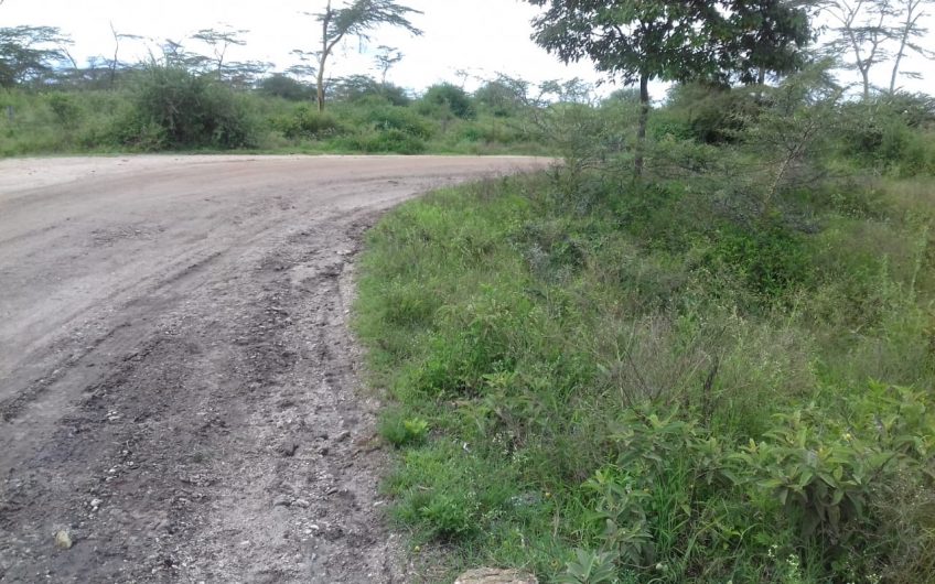 Athi River Plots Zenith (Management) Valuers Limited