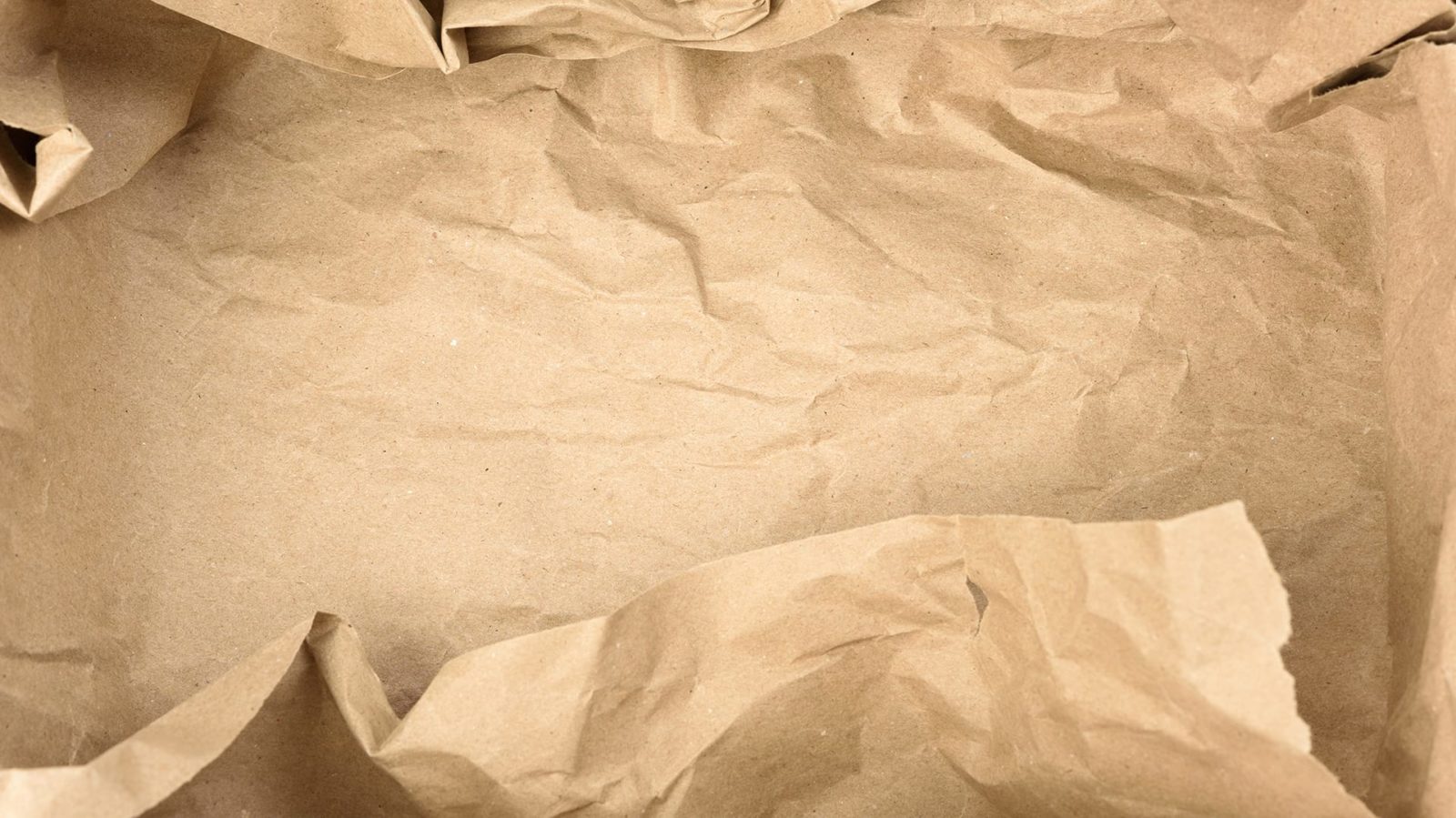 10 Ecofriendly Bubble Wrap Alternatives Zenpack Blog