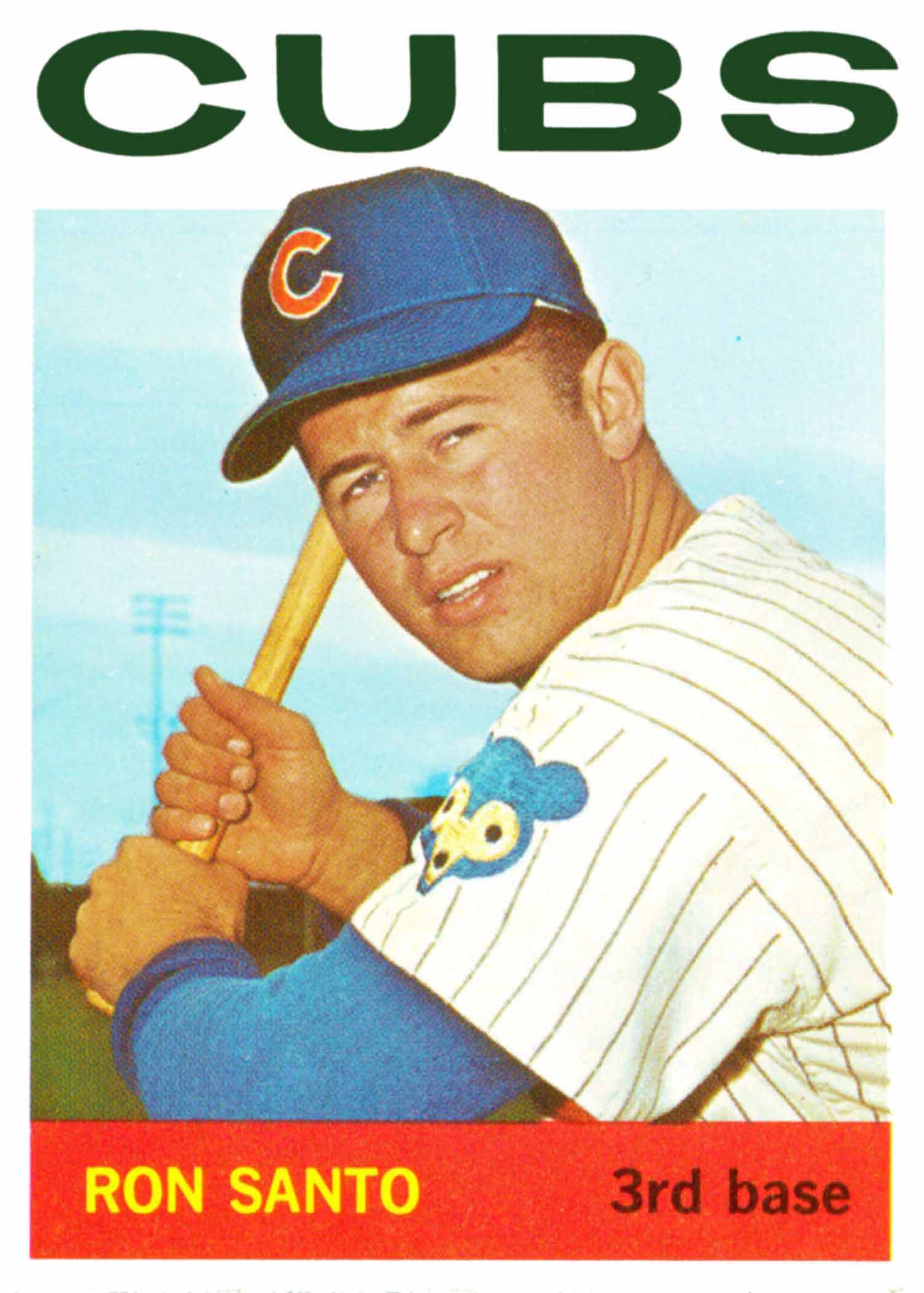 Ron Santo Gallery