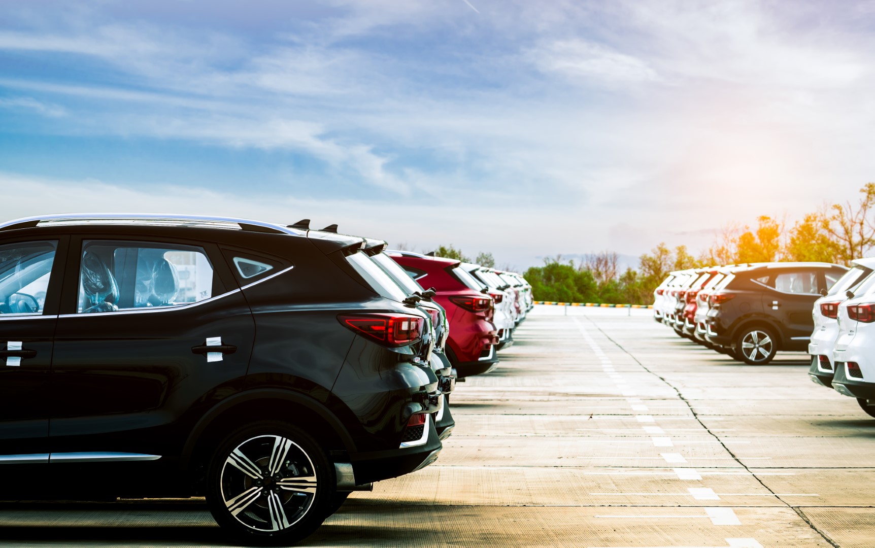 Who Is Canada’s Largest Car Dealership? What You Should Know About Them