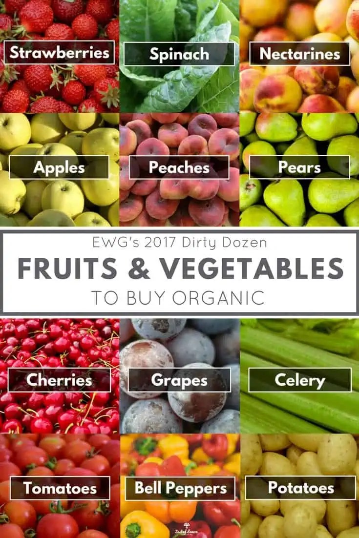 Fruits and Vegetables Organic or Zested Lemon