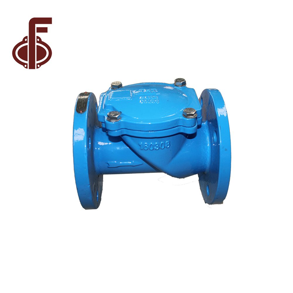 China Ductile Cast Iron Rubber Flap Check Valve Manufacturer and