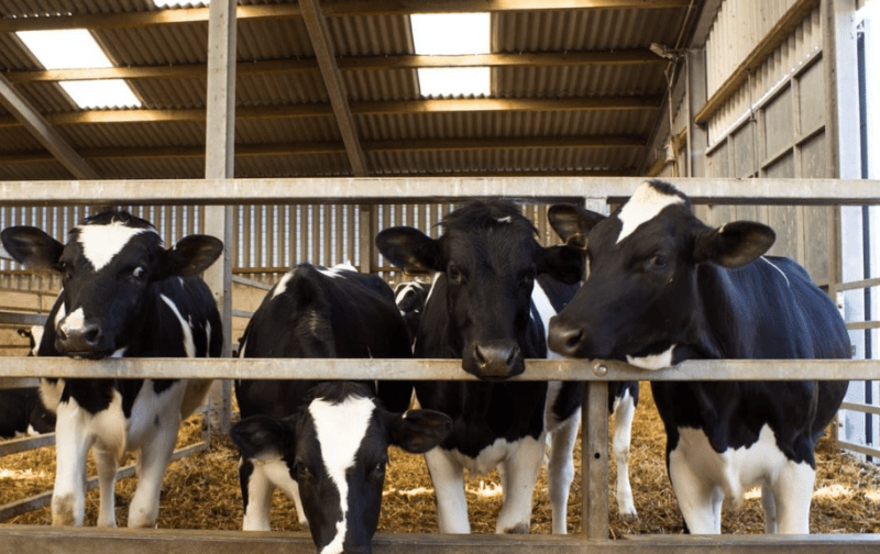 Great Lakes Regional Dairy Conference Zeeland Farm Services Inc.