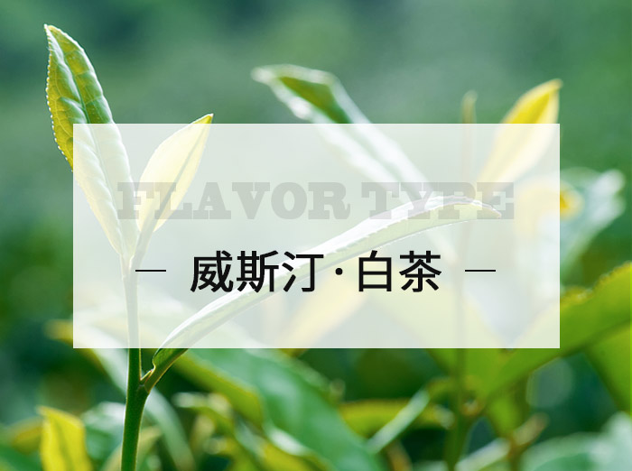 湖南芝兰空间环保科技有限公司—空间香氛净化空间扩香设备香氛精油香氛礼品定制