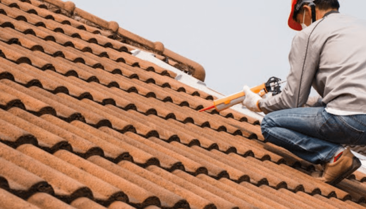 How to go through roof repair from the start? Ziddu