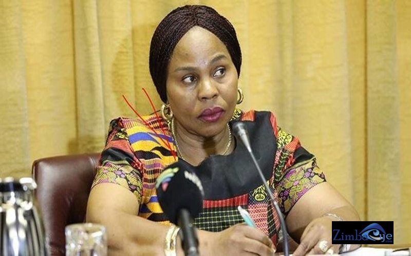 Zimbabwe Getting Six New Television Channels