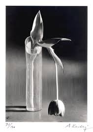 Fotografie En Beeldende Kunst Zimihc