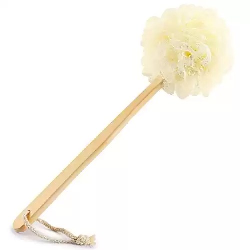 10 Best Shower Loofah Picks in 2024 + Key Benefits Zohna