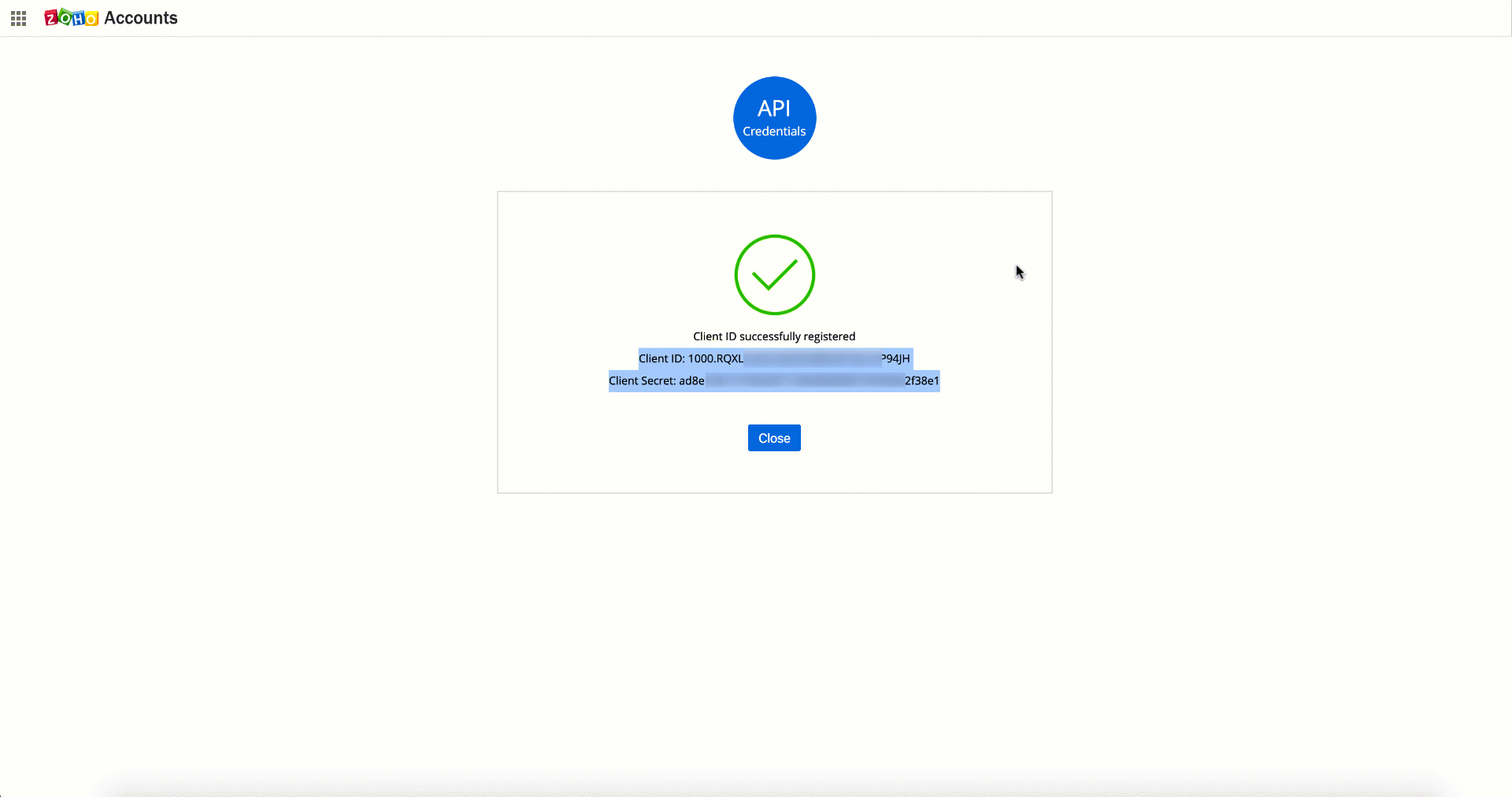 Generate Access Token API Help Zoho Bookings