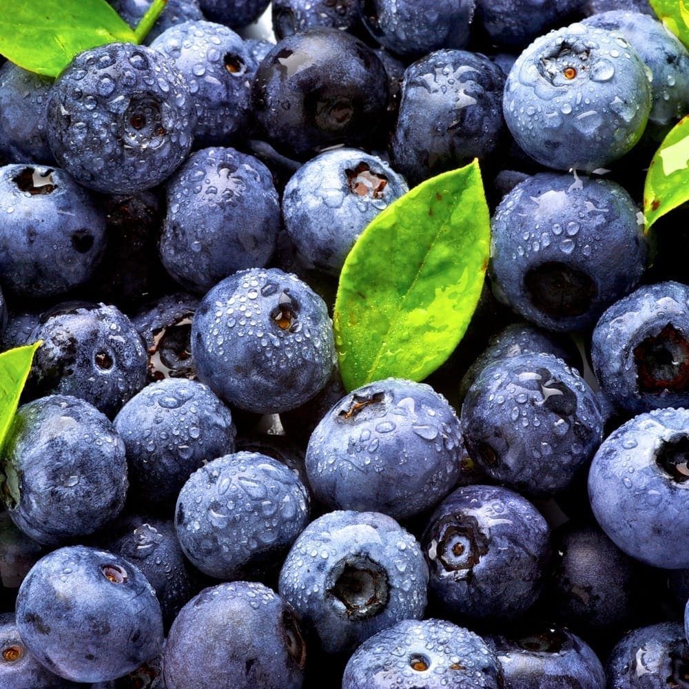 BLUEBERRIES BY Zone Fresh
