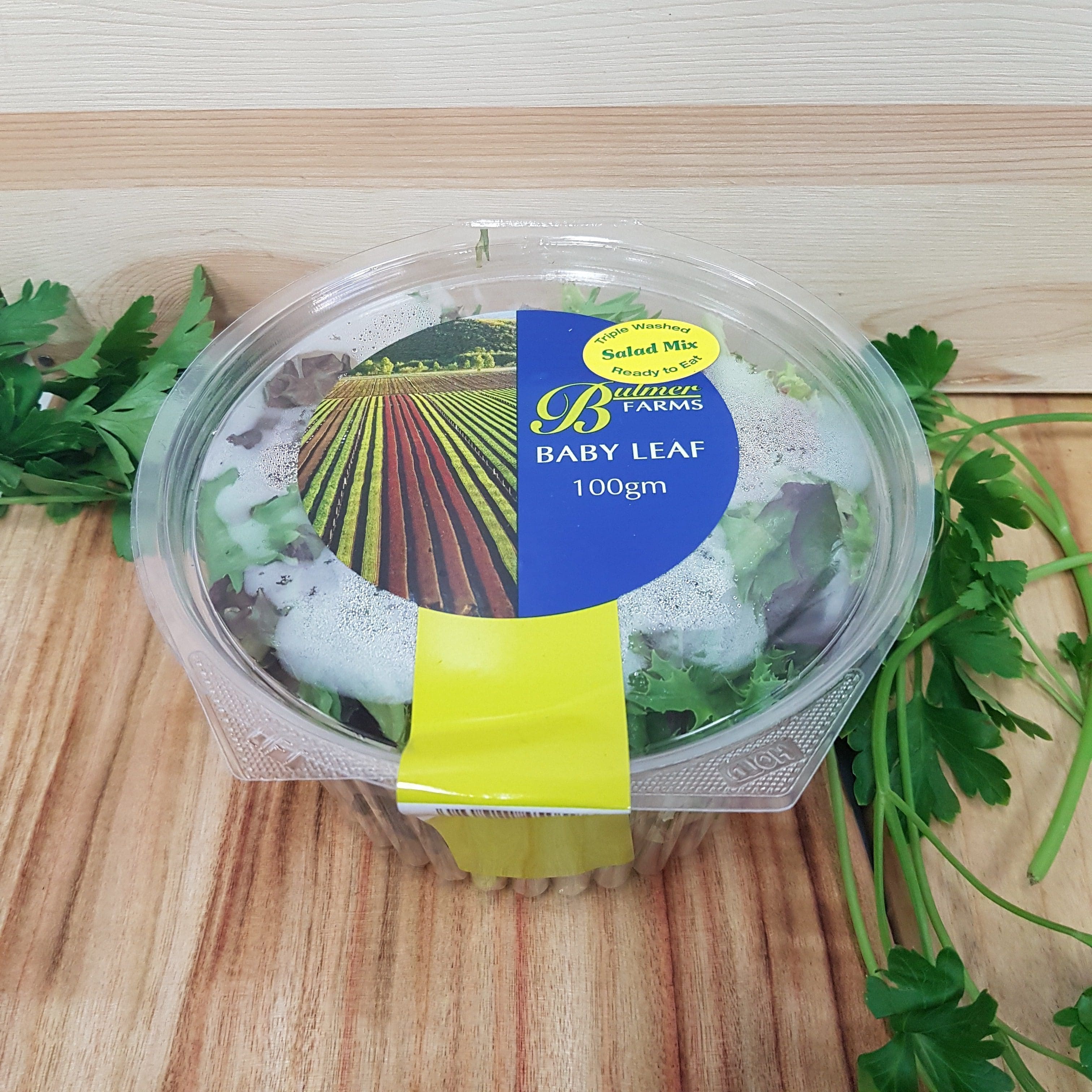 LETTUCE SALAD MIX PRE PACK 100 GRAMS Zone Fresh