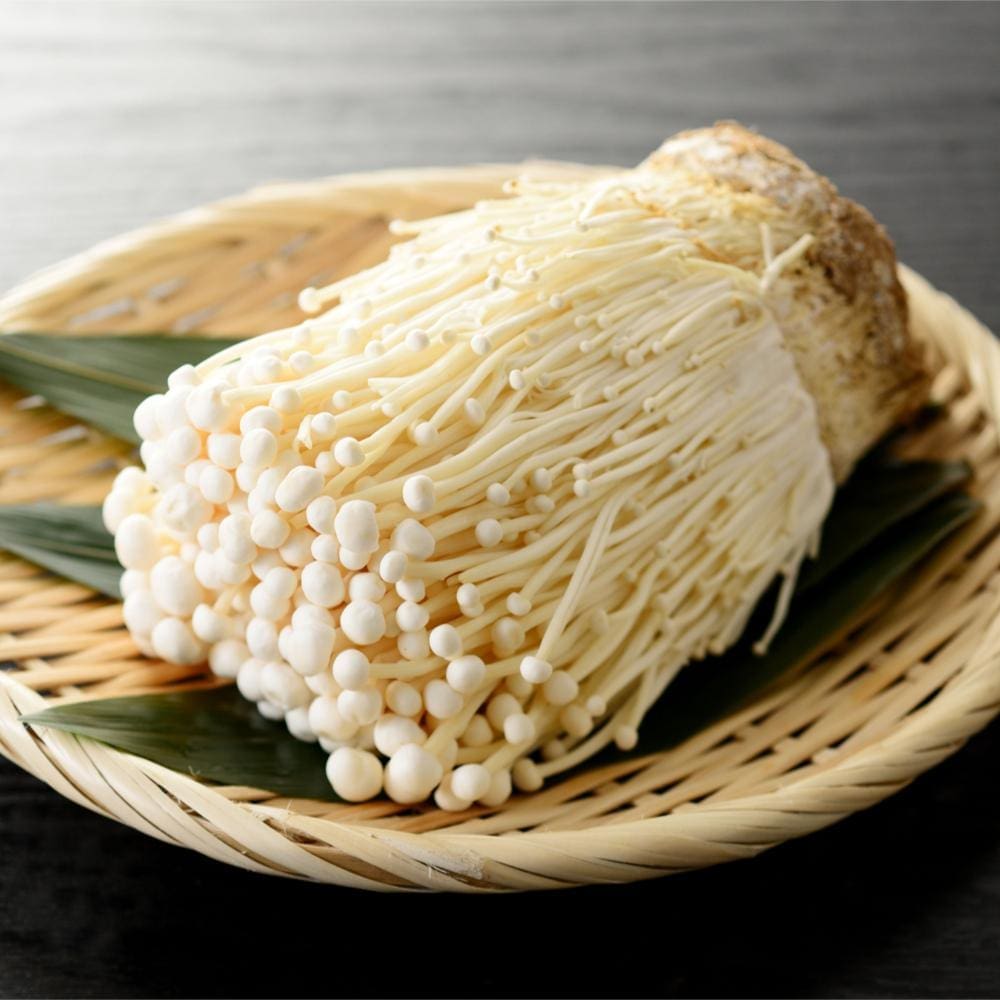 MUSHROOM ENOKI Zone Fresh
