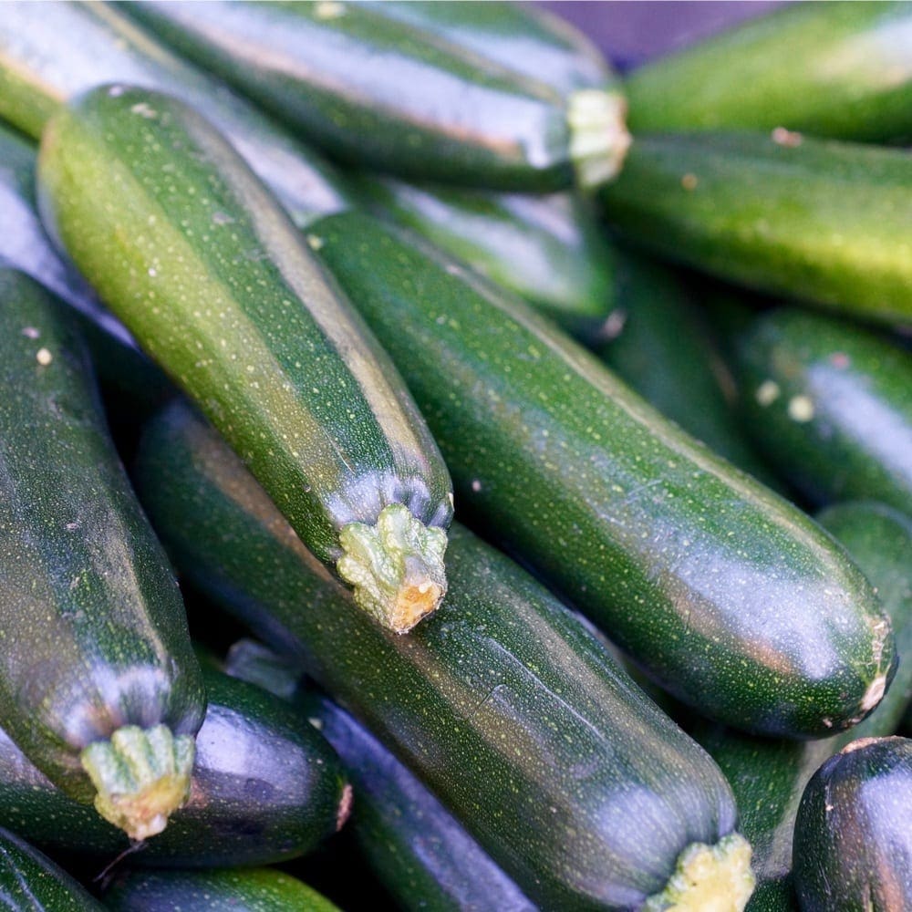 ZUCCHINI GREEN Zone Fresh